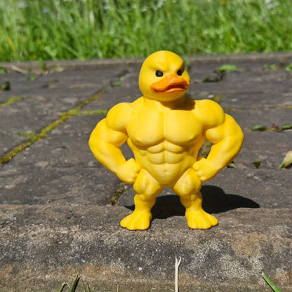 Pato Musculoso – El héroe que tu escritorio necesita 💪